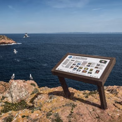 Mesa interpretativa ICNF da Floema Nature, em área natural protegida.