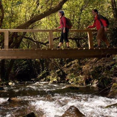 Fernando Pinto e Ana Quinta, sócios-gerentes da Floema a atravessar ponte em madeira, instalada em área natural.